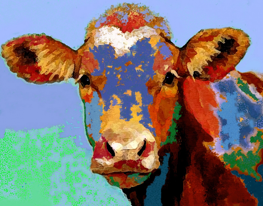 holi cow