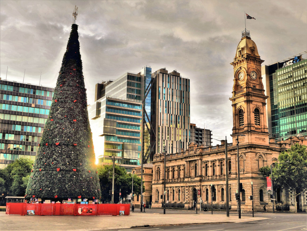 Christmas tree Adelaide city by cakemp55